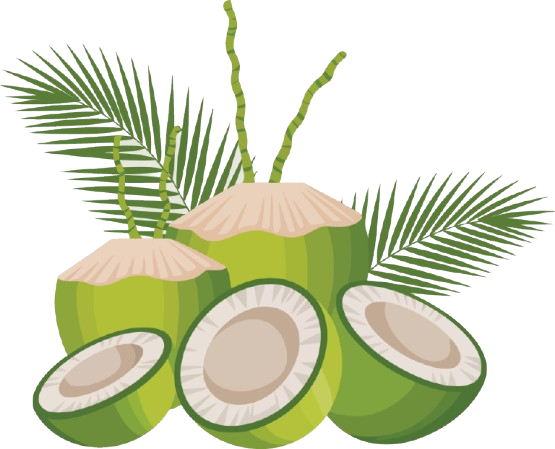 Tender Coconut