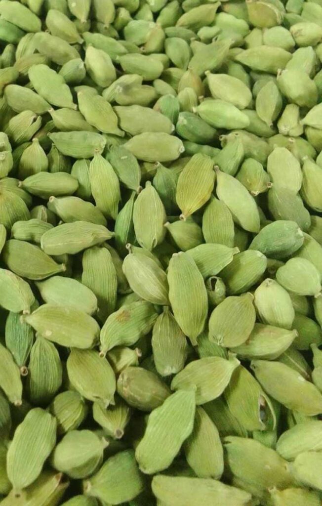 cardamom
