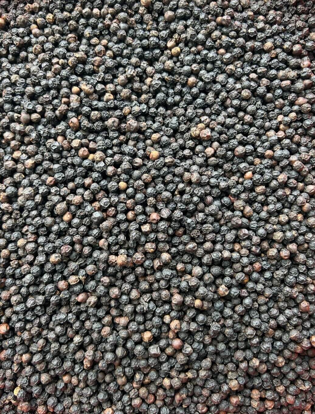 black pepper
